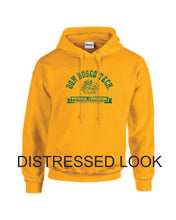 Load image into Gallery viewer, Don Bosco Tech Paterson, NJ GYM HOODED SWEATSHIRT FREE SHIPPING in USA