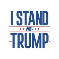 Choice: Magnet or Pin Button:  TRUMP 2020  Design 019    **FREE SHIPPING IN USA*
