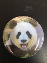Load image into Gallery viewer, Choice: Magnet or Pin Button: PANDA 001       **FREE SHIPPING**
