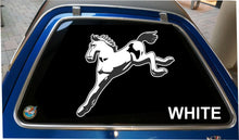 Load image into Gallery viewer, Pinto Rear Window Sticker Free Shipping

