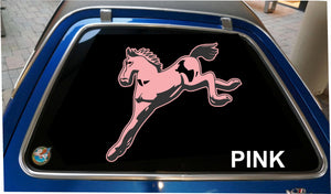 Pinto Rear Window Sticker Free Shipping